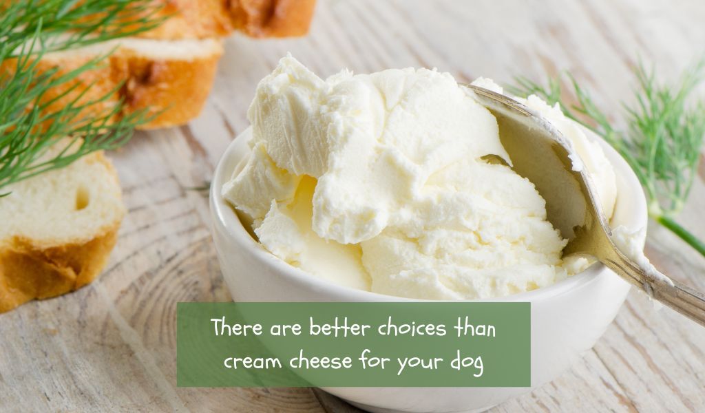 can dogs eat cream cheese