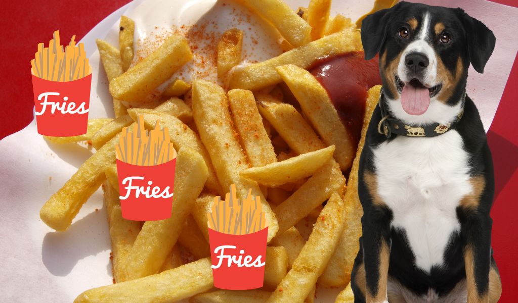 Can dogs eat French fries? A comprehensive guide