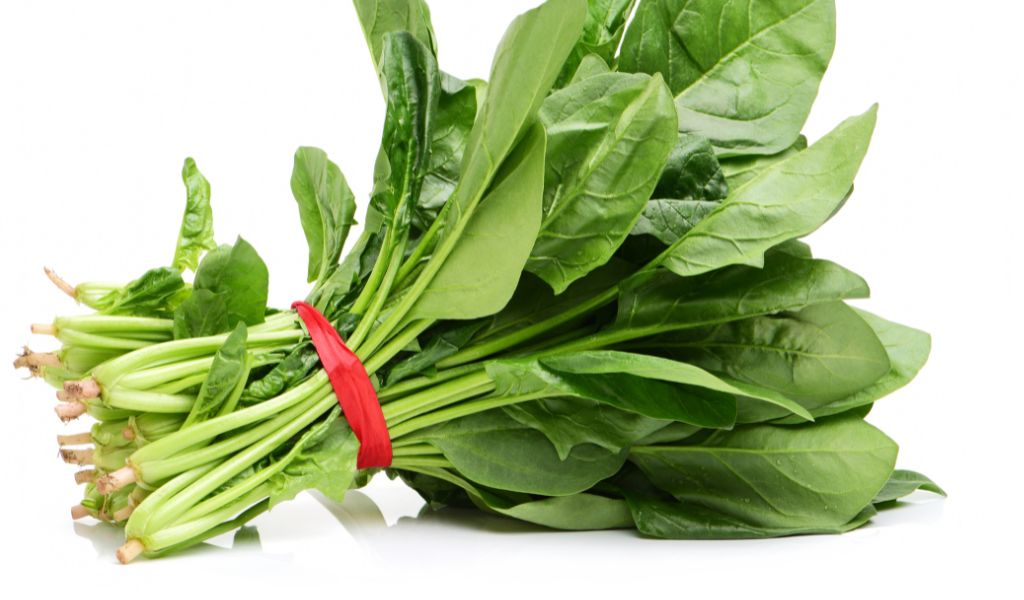 Can dogs eat spinach?