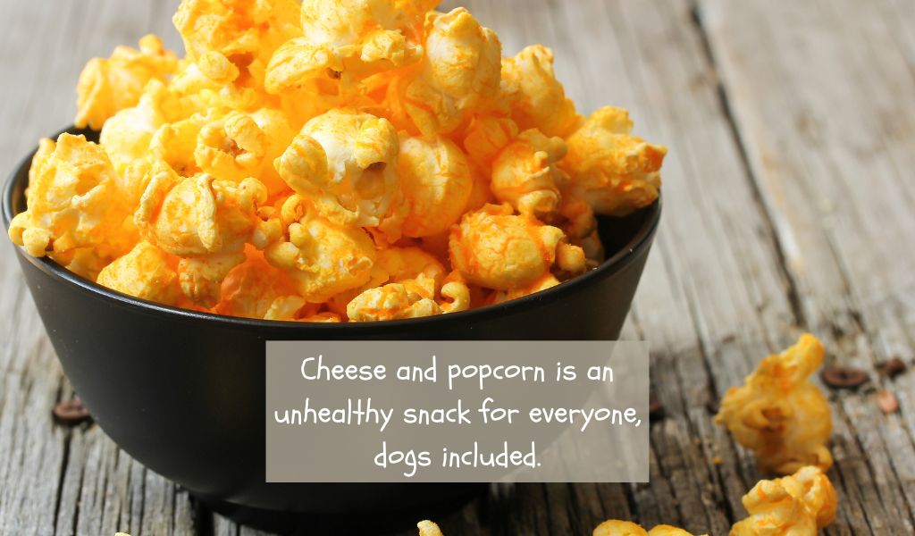 Can Dogs Eat Popcorn with Cheese?