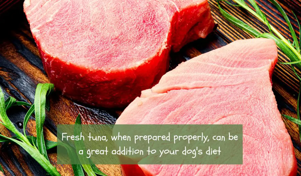 Is fresh tuna safe for dogs?
