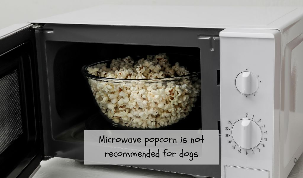 Can Dogs Eat Microwave Popcorn?