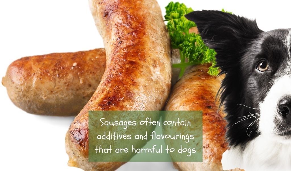 Can Dogs Have Sausages? What You Need to Know
