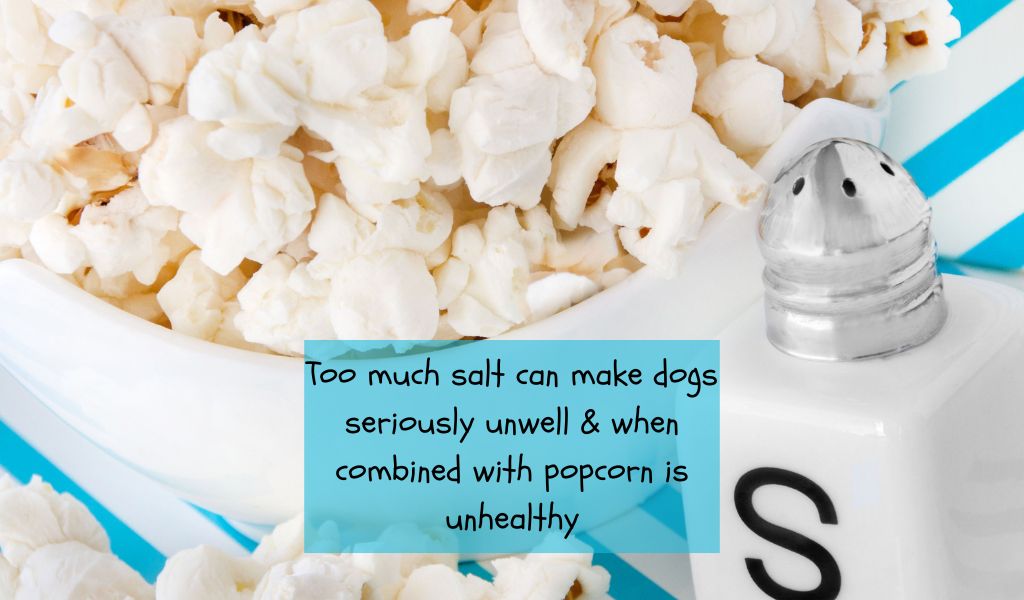 Can Dogs Eat Popcorn with Salt?