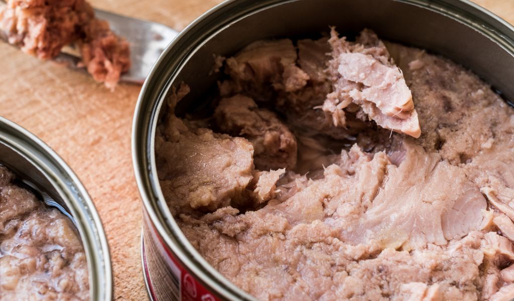 Can I feed my dog canned tuna everyday?