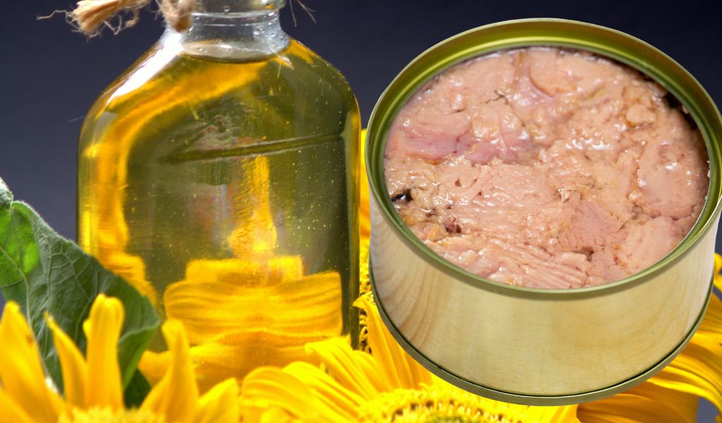 Can dogs eat canned tuna in sunflower oil?