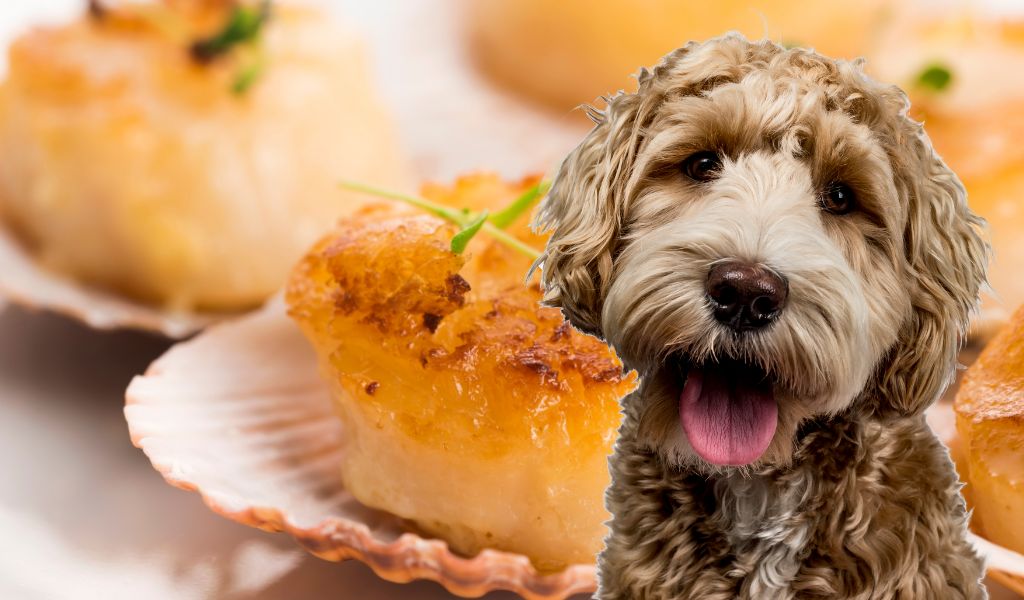 Can Dogs Eat Scallops? Everything You Need to Know