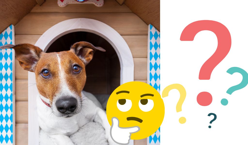 What is an Indoor Dog Kennel for: A Comprehensive Guide for Pet Owners