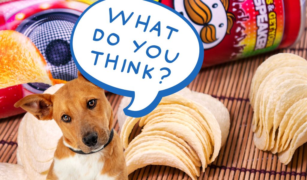 Can Dogs Eat Pringles?