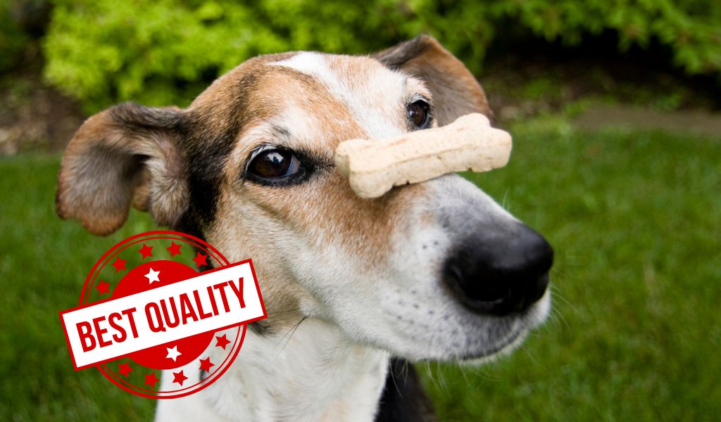 High-Quality Dog Food and Treats: A Guide to the Best Brands