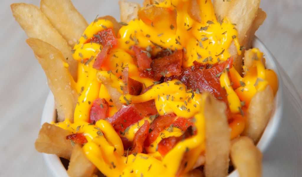 Is it OK for dogs to eat cheese fries?