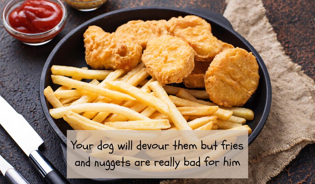 Can dogs eat fries and nuggets?