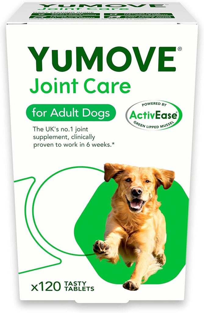 Best Supplements for a Cavalier King Charles Spaniel 2 supplements for cavalier king charles spaniels