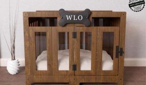 Walnut & Ivory - Pueblo Modern Dog Crate