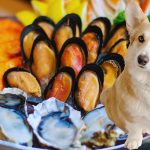 Can Dogs Eat Seafood?