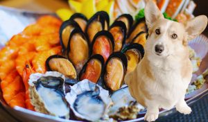 Can Dogs Eat Seafood?