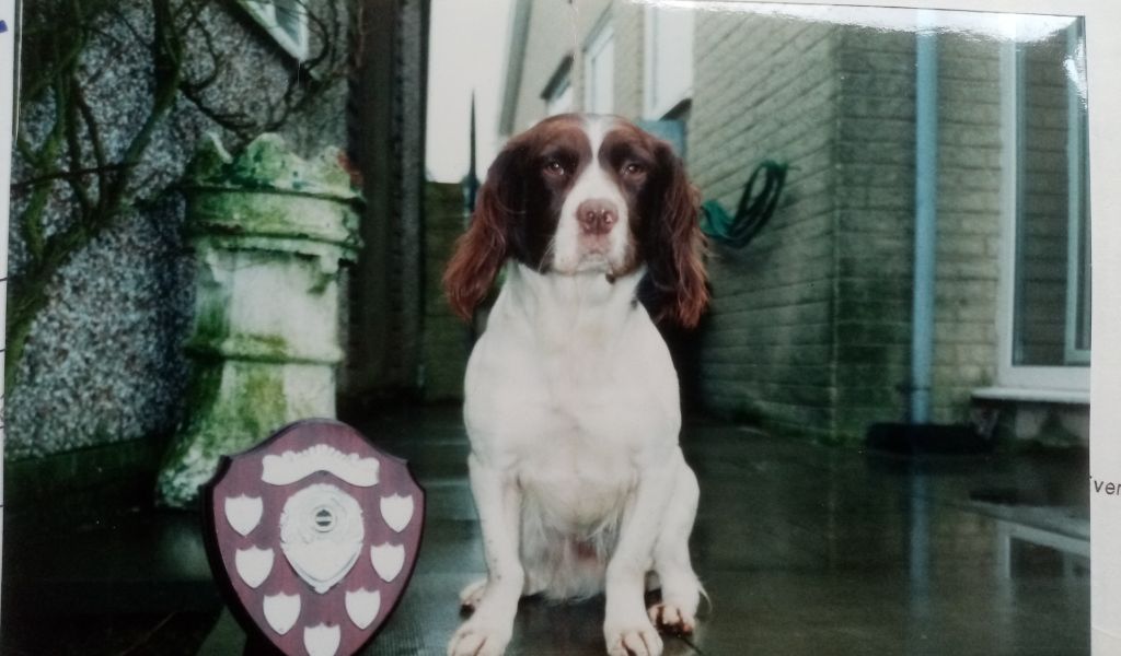 Steve Bell 3 Bramble Heath English Springer Spaniel with one of her trophies
