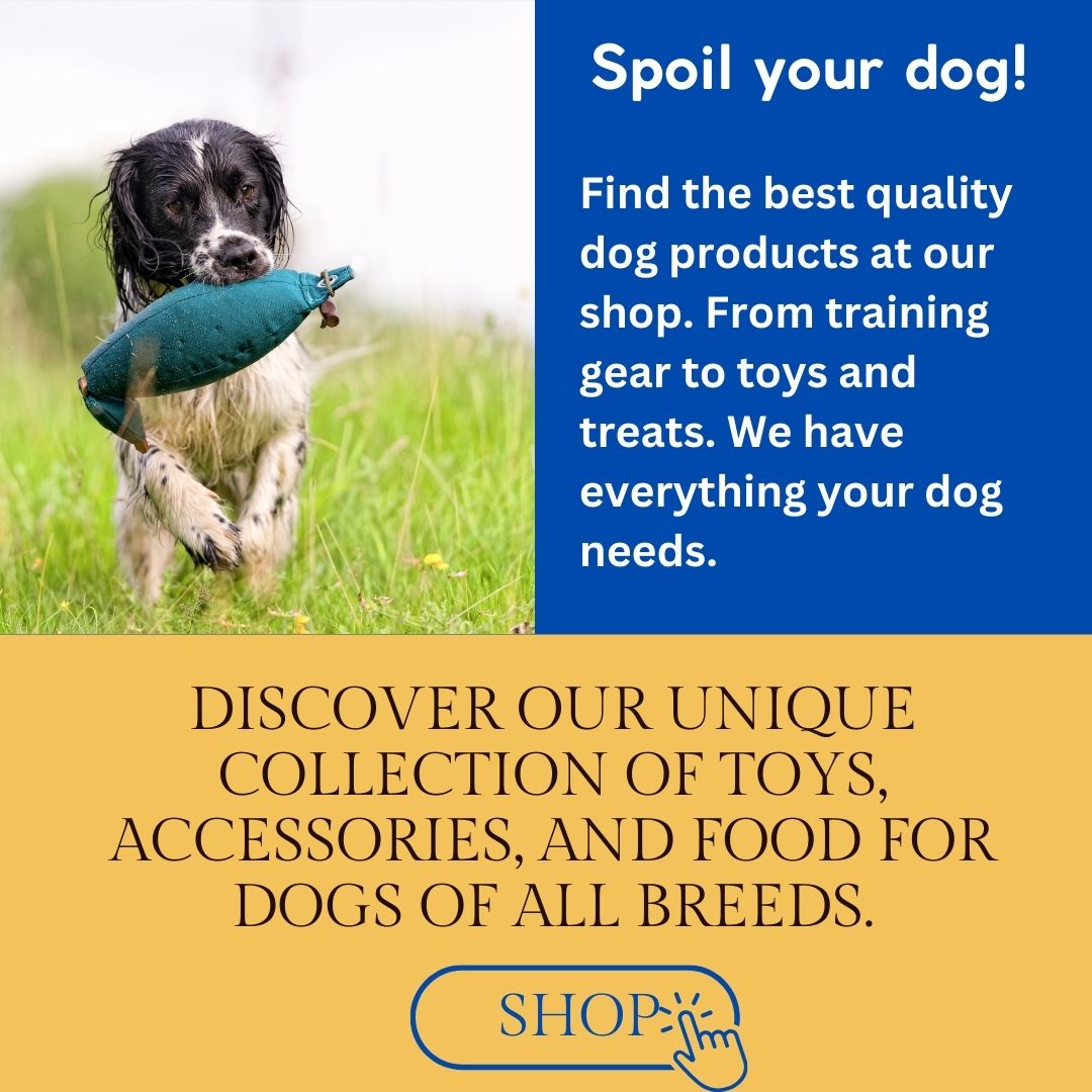 easy spaniel training shop