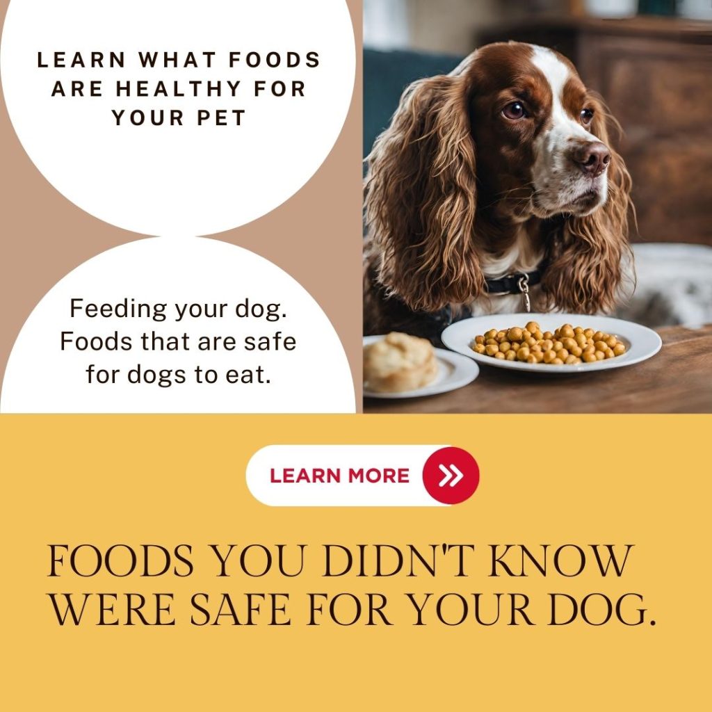 Foods that are safe for dogs to eat