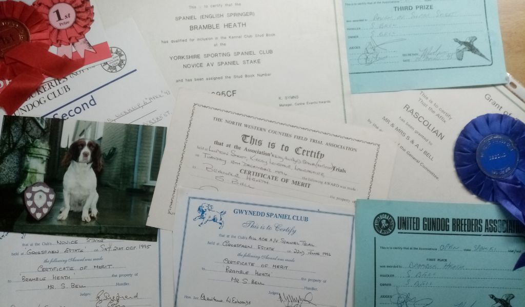 Steve Bell 2 pictures of some of the awards that we have won