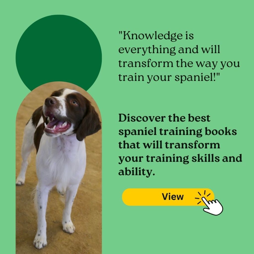 best spaniel training book