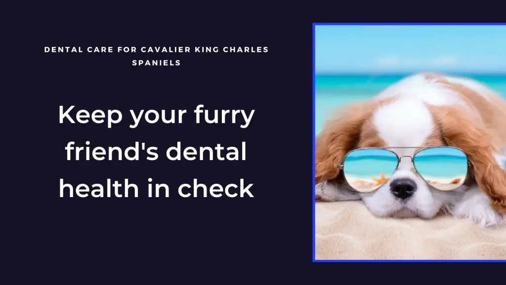 The Importance of Dental Care for Your Cavalier King Charles Spaniel
