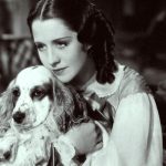 History of Cocker spaniels in England