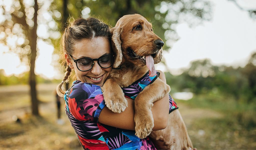 do cocker spaniels enjoy being picked up