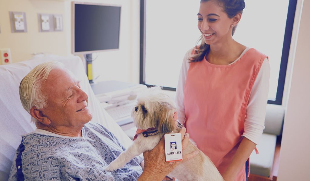 Therapy Dogs work