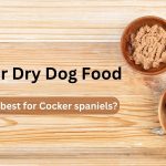 Is wet or dry food better for Cocker spaniels?