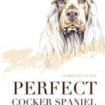 Perfect cocker spaniel: complete guide. Breed, diet, health, grooming, training and more