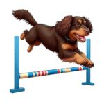 Dog Agility Training…