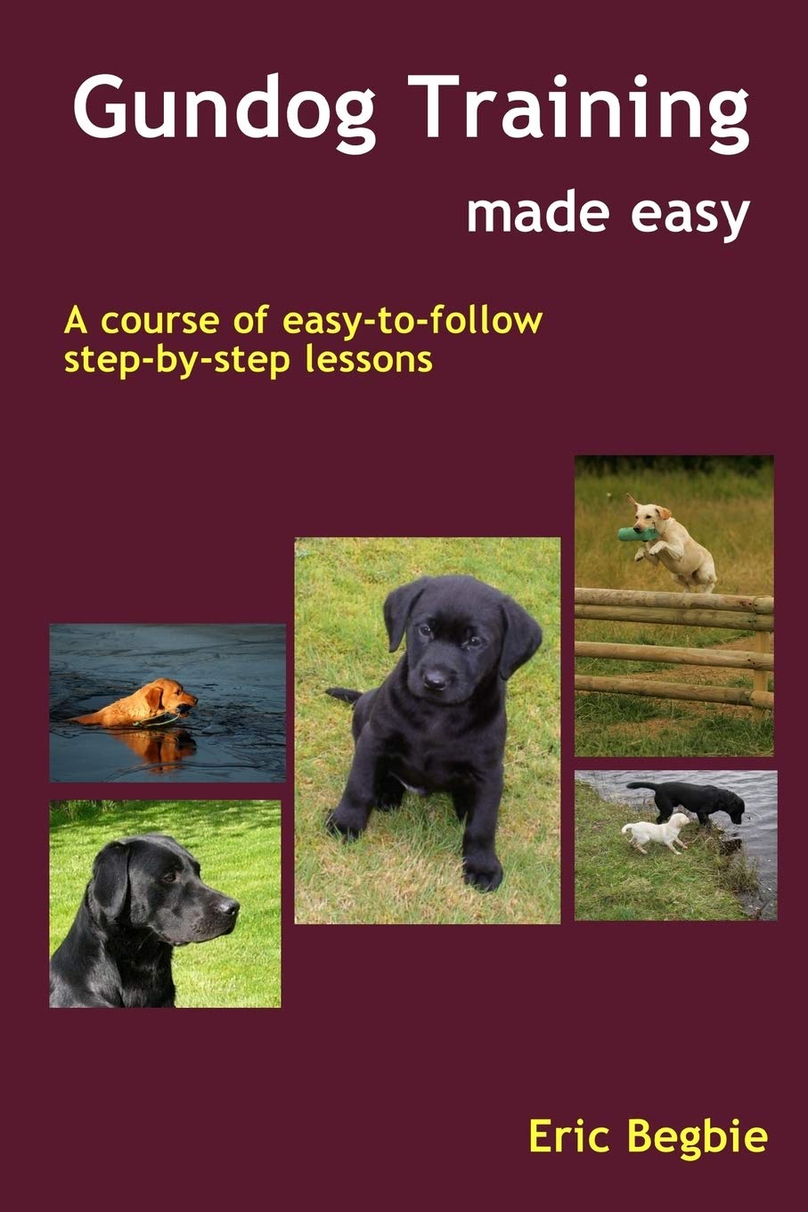 Gundog Training Made Easy 1 Gundog Training Made Easy