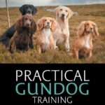 Practical Gundog Training