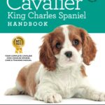 The Cavalier King Charles Spaniel Handbook: The Essential Guide to Cavaliers (Canine Handbooks)