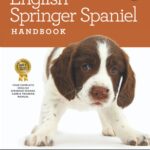 The English Springer Spaniel Handbook: The Essential Guide to English Springer Spaniels (Black and White Edition) (Canine Handbooks)