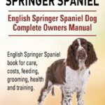 English Springer Spaniel. English Springer Spaniel Dog Complete Owners Manual. English Springer Spaniel book for care, costs, feeding, grooming, health and training.