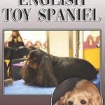 The English Toy Spaniel:…