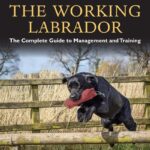 Training the Working Labrador: The Complete Guide to Management & Training: The Complete Guide to Management and Training