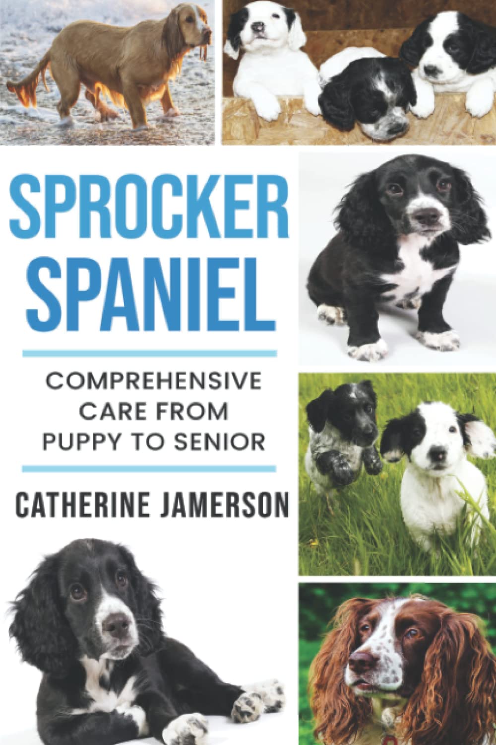 Sprocker Spaniel: Comprehensive Care from Puppy to Senior; Care, Health, Training, Behaviour, Understanding, Grooming, Costs and much more 1 spaniel training books