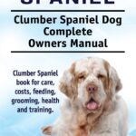 Clumber Spaniel. Clumber Spaniel Dog Complete Owners Manual. Clumber Spaniel book for care, costs, feeding, grooming, health and training.