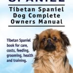 Tibetan Spaniel: Tibetan…