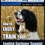 English Springer Spaniel Training | Dog Training with the No BRAINER Dog TRAINER ~ We Make it THAT Easy!: How to EASILY TRAIN Your English Springer Spaniel: Volume 1