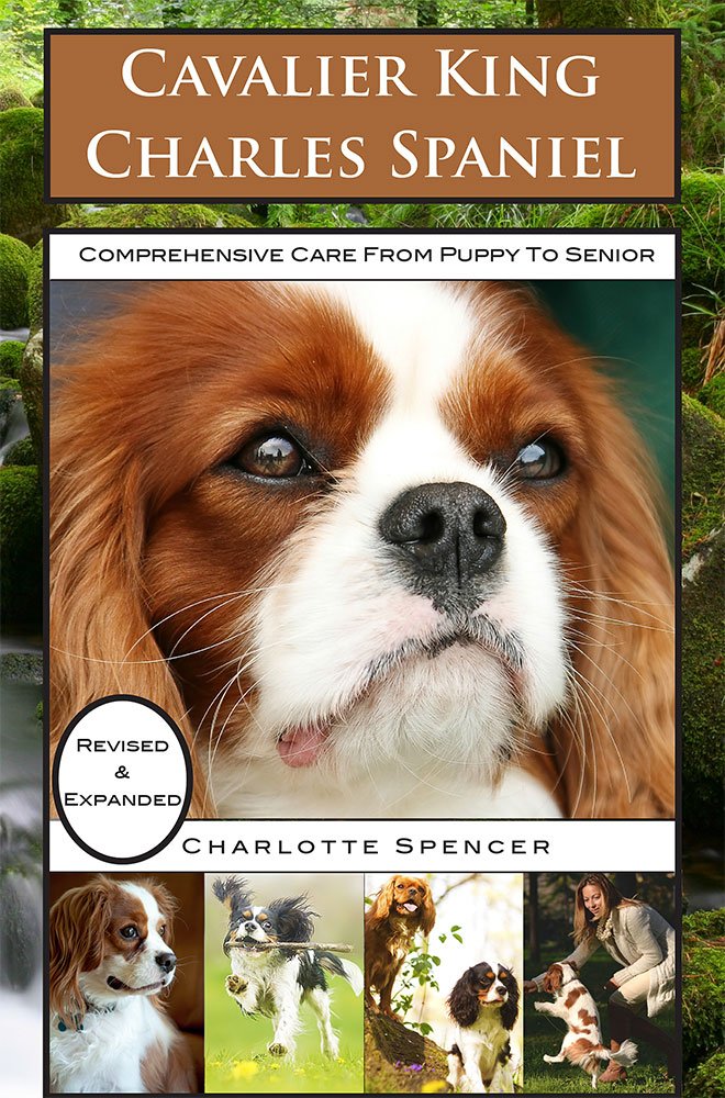 Cavalier King Charles... 1 spaniel training books