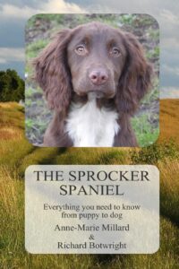 The Sprocker Spaniel: Everything you need to know from puppy to dog 2 spaniel training books