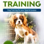 Spaniel Training: Dog Training for your Spaniel puppy