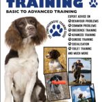 SPRINGER SPANIEL TRAINING: BASIC TO ADVANCED TRAINING: THE COMPREHENSIVE TRAINING GUIDE
