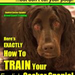 English Cocker Spaniel, English Cocker Spaniel Training AAA AKC: Think Like a Dog, But Don’t Eat Your Poop! | Breed Expert Training |: Here’s EXACTLY How to Train Your English Cocker Spaniel