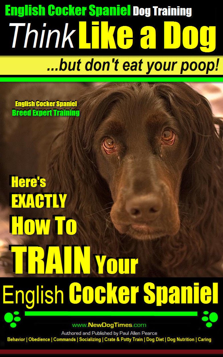 English Cocker Spaniel, English Cocker Spaniel Training AAA AKC: Think Like a Dog, But Don’t Eat Your Poop! | Breed Expert Training |: Here's EXACTLY How to Train Your English Cocker Spaniel 1 spaniel training books