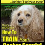 Cocker Spaniel, Cocker…